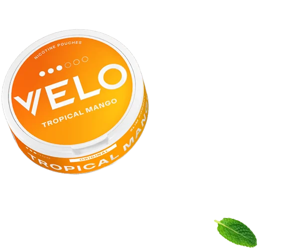 a can of VELO Tropical Mango and a sprig of mint